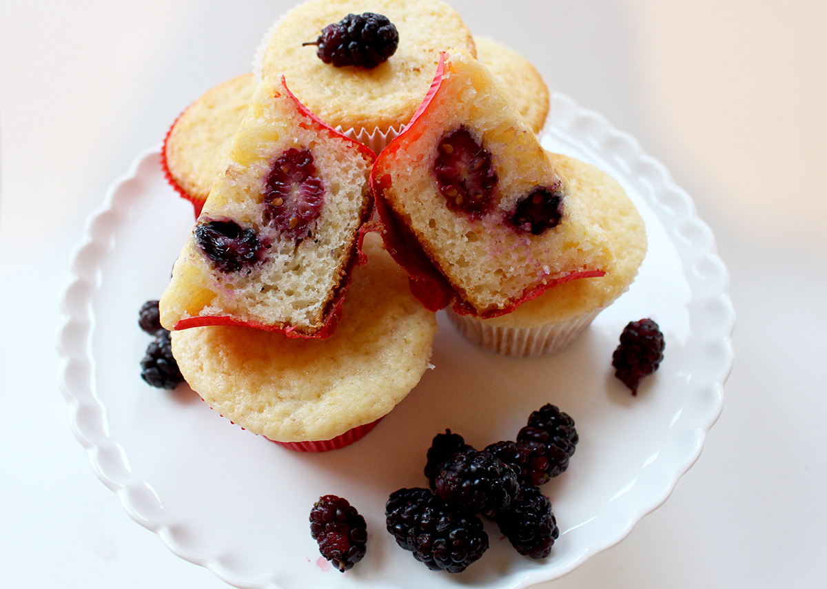 Mulberry Cupcakes